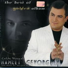 ������ �������� ����